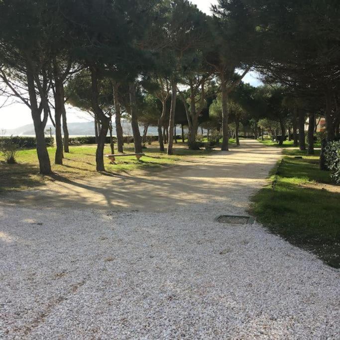 F3 Classe Meuble Tourisme "Gites De France" A 80 Metres De La Plage アルジェレス・シュル・メール エクステリア 写真